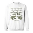 Frog Tadpole Life Cycle Metamorphosis Biology Science Sweatshirt