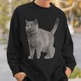 British Short Hair Cat Cat Cat Lovers Sweatshirt Geschenke für Ihn