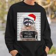 Christmas Raccoon Sweatshirt - Dear Santa I Can Explain Gifts for Him