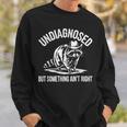 Cowboy Raccoon Sweatshirt - Funny Unisex Casual - Undiagnosed Humor Gifts for Him