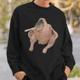 Fish Chicken Face Smoking a Cigarette Funny Meme Sweatshirt Gifts for Him