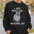 Raccoon Lover Sweatshirt – Cozy Wildlife-Inspired Apparel Gifts for Him