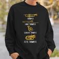 Types Of Trumpets Trumpet Surprise Instrument Sweatshirt Geschenke für Ihn