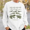 Frog Tadpole Life Cycle Metamorphosis Biology Science Sweatshirt Geschenke für Ihn