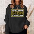 Geologist Geologist Geologie Minerals Geologist Sweatshirt Geschenke für Sie