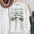 Frog Tadpole Life Cycle Metamorphosis Biology Science Sweatshirt Geschenke für alte Frauen