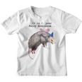 Fairy Godpossum Raccoon Trash Panda Youth T-Shirt - Fun Graphic