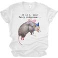 Fairy Godpossum Trash Panda Raccoon Unisex Jersey T-Shirt