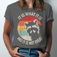 Raccoon Vintage Unisex T-Shirt - Humorous Statement Tee