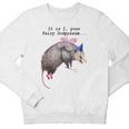 Fairy Godpossum Youth Crewneck Sweatshirt - Whimsical Raccoon Design