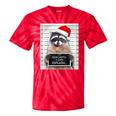 Dear Santa Raccoon Tie-Dye T-Shirt - Festive Christmas Fun Red Tie-Dye