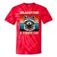 Retro Raccoon Tie-Dye T-Shirt - Vintage Style for All Ages Red Tie-Dye