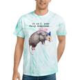 Raccoon Fairy Godpossum Tie-Dye T-Shirt - Quirky Charm Mint Tie-Dye