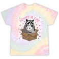 Adopt a Cat Team | Tie-Dye T-Shirt | Raccoon & Opossum Design Hazy Rainbow Tie-Dye
