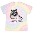 Raccoon Moon Tie-Dye T-Shirt - Fun Unisex Apparel Hazy Rainbow Tie-Dye