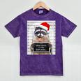 Christmas Raccoon Mineral Wash T-Shirt | Dear Santa Humor Mineral Purple