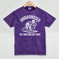 Cowboy Raccoon Mineral Wash T-Shirt - Quirky Unisex Style Mineral Purple