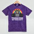 Raccoon Street Cat | Mineral Wash Unisex T-Shirt for All Ages Mineral Purple