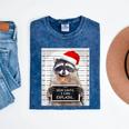 Christmas Raccoon Mineral Wash T-Shirt | Dear Santa Humor Mineral Navy