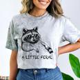 Raccoon Comfort Color-Blast T-Shirt - Moonlight Mischief Smoke