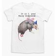 Fairy Godpossum Raccoon Trash Panda T-Shirt - Quirky Gift for Animal Lovers