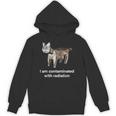 I Am Contaminated With Radiation Cat Meme Hoodie