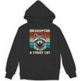 Raccoon Vintage Retro Unisex Hoodie - Fun For All Ages