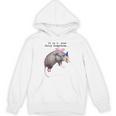 It Is I Your Fairy Godpossum Raccoon Trash Panda Unisex Hoodie