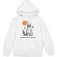 Raccoon Trash Panda Unisex Hoodie – Retro 90s Sunset Style