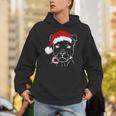 Christmas Staffy With Santa Hat And Candy Cane Dog Lovers Unisex Hoodie