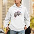 It Is I Your Fairy Godpossum Raccoon Trash Panda Unisex Hoodie