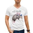 Fairy Godpossum V-Neck T-Shirt - Raccoon Trash Panda Fun for Men