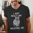 Raccoon Love Men's V-Neck T-Shirt | Quirky Animal Lovers Gift