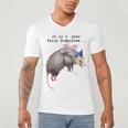 Fairy Godpossum V-Neck T-Shirt - Raccoon Trash Panda Fun for Men