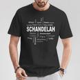 Schandelah New York Berlin Schandelah Meine Hauptstadt T-Shirt Lustige Geschenke