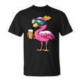 Ski Flamingo With Beer Apres Ski Comic T-Shirt