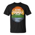 From Kenai Peninsula Borough Alaska Vintage Sunset T-Shirt