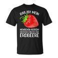 People Strawberry Costume Strawberry Costume Carnival Fancy Dress T-Shirt