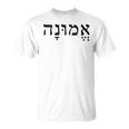 Emunah Faith Hebrew Words Judaism Hebrew Roots Mens T-Shirt