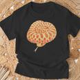 Hognose Gifts, Chinese Zodiac Shirts